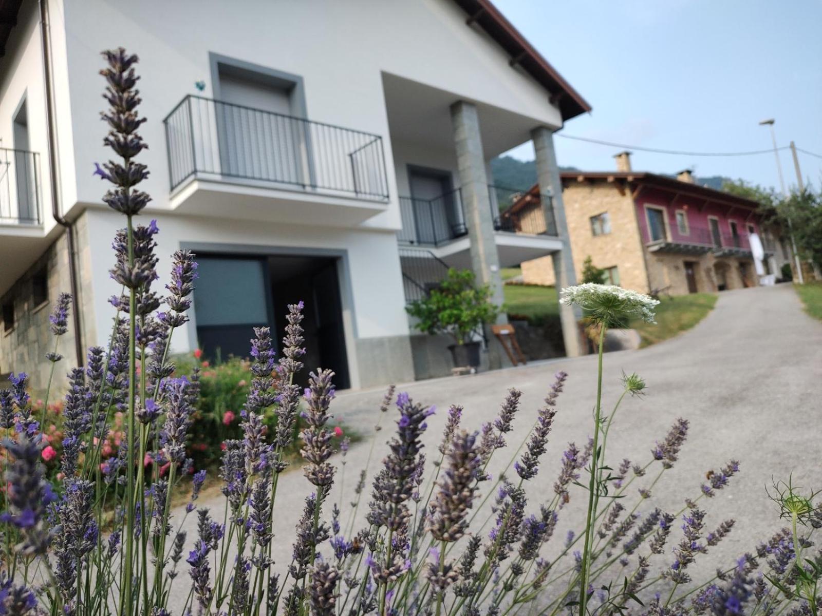 Ca' Dei Vescu - Villetta Per Vacanze Demonte Exterior foto